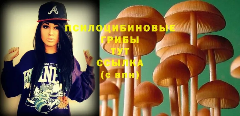 Галлюциногенные грибы MAGIC MUSHROOMS  Кирово-Чепецк 